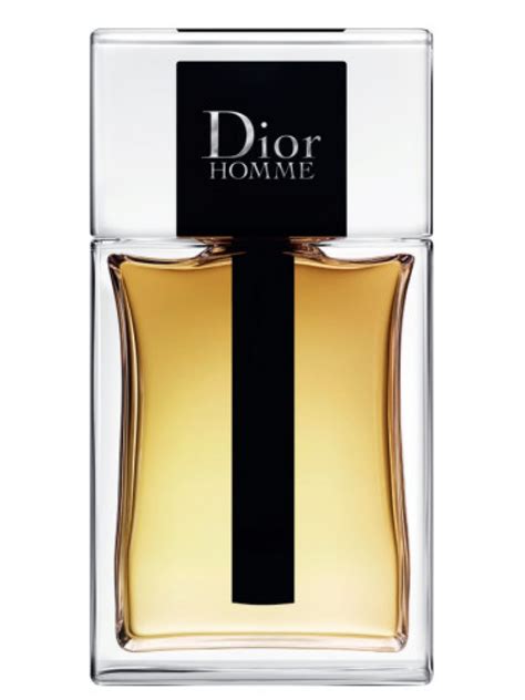 dior homme eau de toilette debenhams|Dior Homme edt 2020.